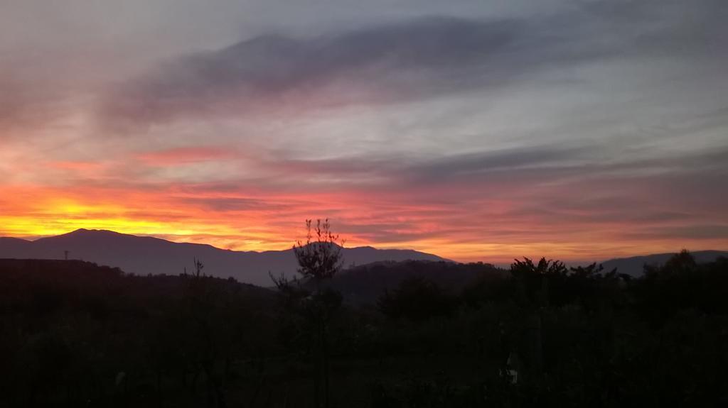 Agriturismo Villa Vea Bellosguardo Ngoại thất bức ảnh